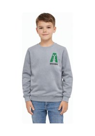 Resim Baglan Erkek Çocuk Önü Baskılı Sweatshirt Bgl-st05234 Gri 