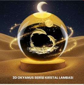 Resim Yunus Temalı Kristal Küre Usb Işıklı Ahşap Altlıklı Gece Lambası 
