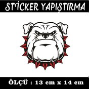 Resim Tombul Köepk Bulldog Tasmalı Sticker - Etiket Yapışkanlı 