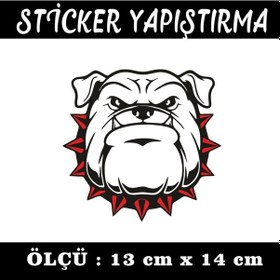 Resim Tombul Köepk Bulldog Tasmalı Sticker - Etiket Yapışkanlı 