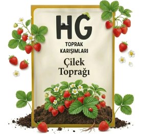 Resim Hg Çilek Toprağı Özel Karışım 