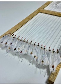 Resim Palamut Çaparisi - Beyaz Tüy Sarı Göz 