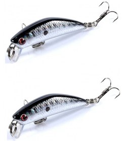 Resim Rapala Lures Yapay Suni Yem 2 Adet 8.5 Gr.7cm Gümüş 