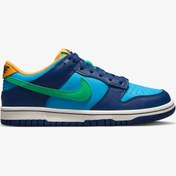 Resim Nike Dunk Low (Gs) 