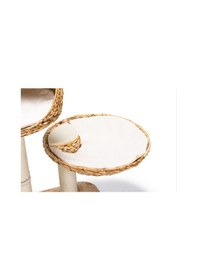Resim Karlıe Kedi Tırmalama Muz Yaprağı V 81x58x10cm 