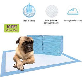 Resim Kiwi Pets KPPC-10807 Evcil Hayvan Eğitim Pedi 10'lu 