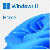 Resim Windows 11 Home Oem 64bit Türkçe 