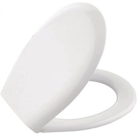 Resim Süngerli Klozet Kapağı Oval Lisinya Çok Renkli 