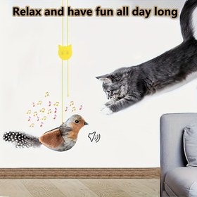 Resim 1 adet/3 adet Evcil Hayvan Çağ Birduğu Sesli Oyuncak, Küçük Kuş Şekli Kedi Oyuncak, Hayvan Desenli Kumaş, Şarj Olmadan Ses Üretebilir, Kedi Oyunu İçin Uygun, Yapay Tüy, Pilsiz 