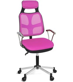 Resim Türksit AS File Çalışma Koltuğu Metalik Gri Boyalı Ayak Pembe 