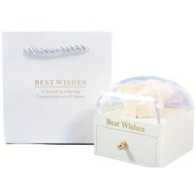 Resim 14 Şubat Sevgililer Günü Çekmeceli Sonsuz Gülü Beyaz Takı Kutusu 