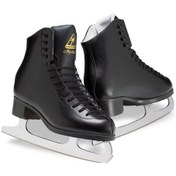 Resim Patendeposu Jackson Mystique 1592 Buz Pateni 