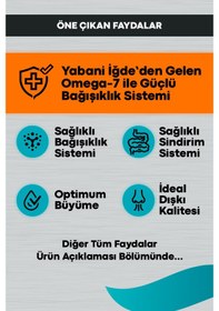 Resim Peritas Signature Tavuklu Yavru Kedi Maması 10 KG 