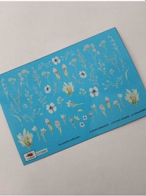 Resim Tnl Professionel Takma Tırnak Stiker F-17 