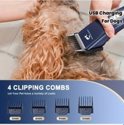 Resim Willowhaven Siyah Mıaoquanjı Profesyonel Elektrikli Evcil Hayvan Tıraş Makinesi Usb Şarjlı Güçlü Motor 