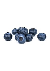 Resim Tüplü Yaban Mersini Blue Berry Fidanı 