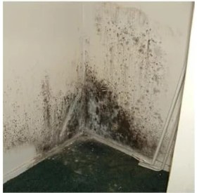 Resim Renklimestore Flora Nem Alıcı Yedek 450 gr 6 Adet 