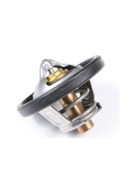 Resim Ford Focus 2 1.6 Benzinli Termostat 2008-2011 Ford - 