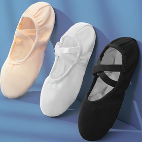 Resim Kadınlar için Yumuşak Tabanlı Dans Ayakkabıları, Bağcıklar Olmadan, Uygulama İçin Uygun, Kedi Pati Tasarımı, Yoga Ayakkabıları ve Bale Ayakkabıları ile. 