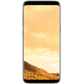 Resim Samsung  S8 64 GB TR Garanti | 4 GB Altın 