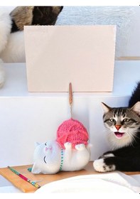 Resim Tatlı Pembe Kawaii Yumaklı Kedi Fotoğraf Not Tutacak Ofis Masası Not Tutacağı Pembe 