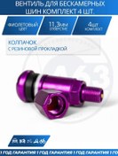 Resim Avtozap63opt Tutucuları Olmayan Lastikler İçin Mor Ventil 320755394 