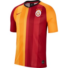 Resim Nike Galatasaray M Brt Ftbl Top SS HM Erkek Forma 