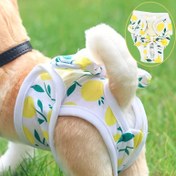 Resim Yeniden Kullanılabilir Ayarlanabilir Köpek Bezi Pantolonu - Nefes Alabilen Ağ ve Rahat Kalıp ile Yüksek Kaliteli Adet Altı İçin Köpekler için, Şık Limon Yaprağı Desenli Tasarım, İç Mekan & Dış Mekan Kullanımı için Konforlu Evcil Hayvan Giysisi, Köpek Bezleri 