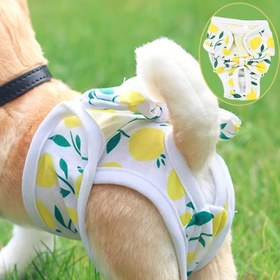 Resim Yeniden Kullanılabilir Ayarlanabilir Köpek Bezi Pantolonu - Nefes Alabilen Ağ ve Rahat Kalıp ile Yüksek Kaliteli Adet Altı İçin Köpekler için, Şık Limon Yaprağı Desenli Tasarım, İç Mekan & Dış Mekan Kullanımı için Konforlu Evcil Hayvan Giysisi, Köpek Bezleri 
