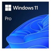Resim Windows OEM 11 Pro 64Bit Türkçe FQC-10556 