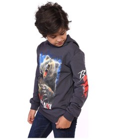 Resim Toontoy Kids Toontoy Erkek Çocuk Aslan Ve Blood Clan Baskılı Sweatshirt Füme 