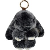 Resim Silver1 Gıoıo Yeni Sevimli Gerçek Saç Tilki Küçük Cinderblock Saç Araba Anahtarlık Kolye Ins Pixie Peluş Top Çanta Aksesuarları (Yurt Dışından) 