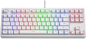 Resim Valkyrie Leaven K870 Blue Switch Mekanik Gaming Oyun Klavyesi RGB 61 Key Mavi Tuş Type-C Klavye BEYAZ 