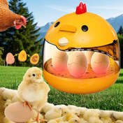 Resim Hayvan inkübatörünün sıcaklık kontrolü kesin, çıkış oranını artırıyor; sürekli sıcaklık özelliklerine sahip akıllı bir ev inkübatörüdür. 