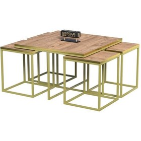 Resim Uslucan Alışveriş Orta Sehpa Ve Zigon Sehpa 5'li Lüx Set Altın Ceviz Çok Renkli 