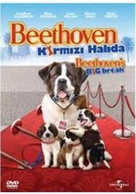 Resim Dvd-Beethoven Kırmızı Halıda 
