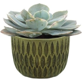 Resim Beton Saksı Silikon Kalıp - 179 