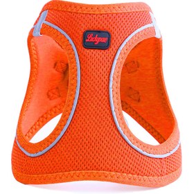 Resim Lucky Paw Göğüs Tasması - TURUNCU (FOSFORLU) - M 