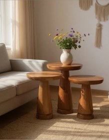 Resim ASELYA HOME Doğal Ahşap 3’lü Set Mantar Yan Sehpa Modern Fiskos Zigon Çiçeklik 