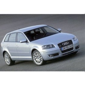 Resim Coil-Ex Audı A3 8P 05.2003- Sonrası Spor Yay 45 - 45 Mm N11.5530 