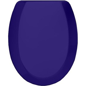 Resim Rona Tisa Parlak Lacivert Thermoplast Standart Klozet Kapağı Üstten Monte 