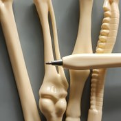 Resim 5 adet Ergonomik Kemik Şekilli Tükenmez Kalem, Orta Nokta, Geri Çekilebilir Plastik Tasarım, Hemşireler, Doktorlar, Ofis Kullanımı ve Tıbbi Notlar için İdeal - Mükemmel Hediye, Doktorlar, Hemşireler Şükran Hediyesi|Benzersiz Tıbbi Aracı|Dayanıklı Yazma Aracı 