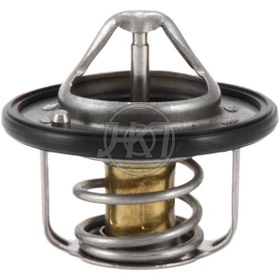 Resim Hkt Marka Termostat Nıssan, Vw,skoda,dacıa,renault, Hyundaı,audı 