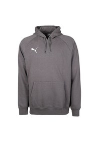 Resim Puma Turkey Hoodie Türkiye Futbol Antrenman Sweatshirt 60546903 Gri 60546903 