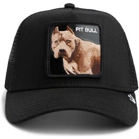 Resim Goorin Bros Şapka - The Dog Pitbull Siyah 