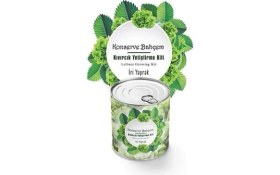 Resim HDY Konserve Bahçem Evde Konservede İri Yapraklı Kıvırcık Yetiştirme Kiti 