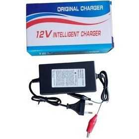 Resim Akü Şarj Cihazı 12v 20 Ah Mandallı 