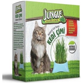 Resim Jungle Kedi Çimi 