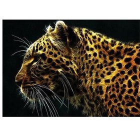 Resim Leopar-2 Notebook Sticker, Laptop sticker,, Hp Sticker, Asus Sticker, 15.6 inç Sticker 