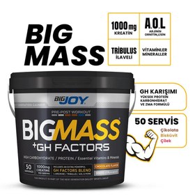 Resim BIGJOY Sports Bigmass Gainer Gh Factors Çikolata 5000g 
